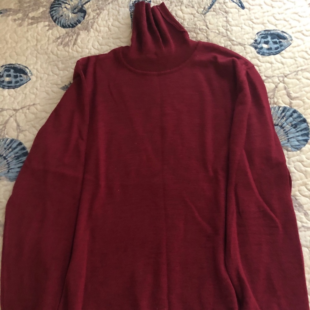 Pullover turtleneck sweater.